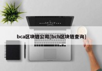 bca区块链公司[bch区块链查询]