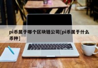 pi币属于哪个区块链公司[pi币属于什么币种]