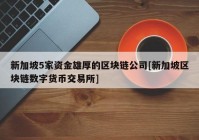 新加坡5家资金雄厚的区块链公司[新加坡区块链数字货币交易所]